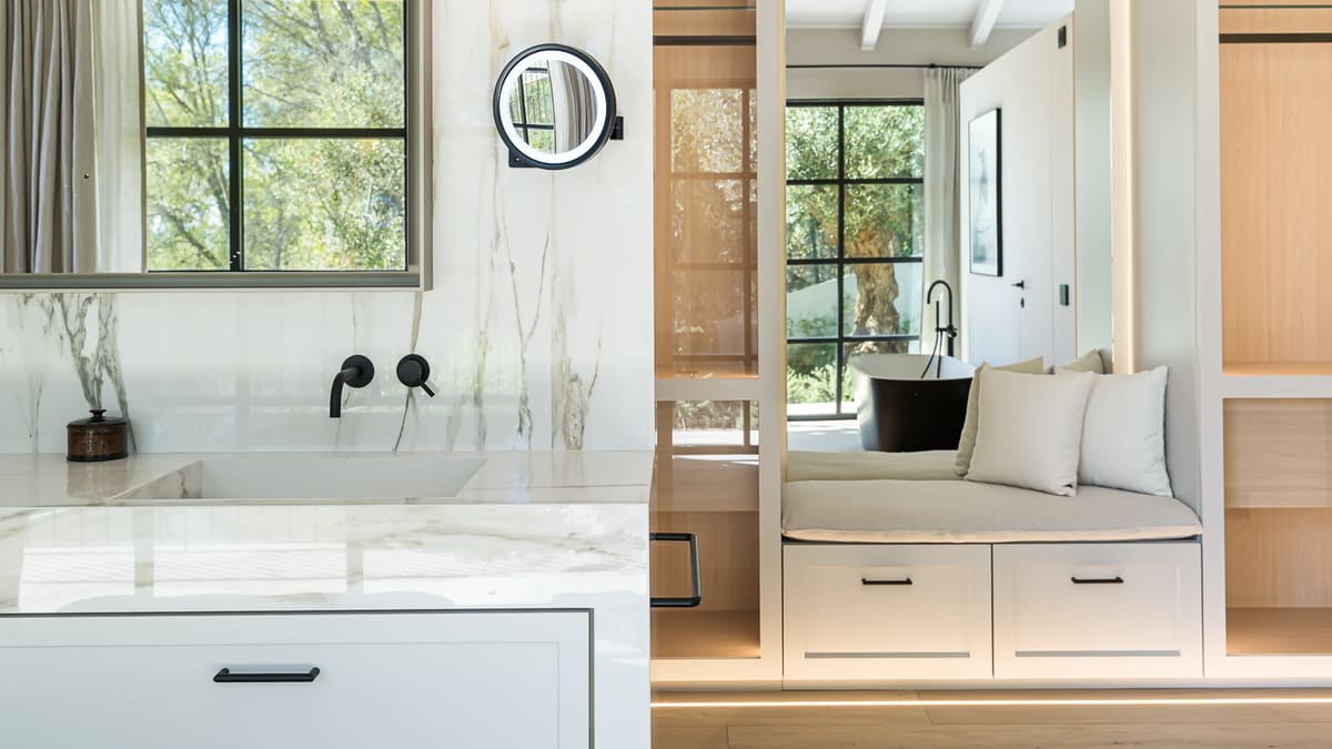 Potential Risks and Challenges