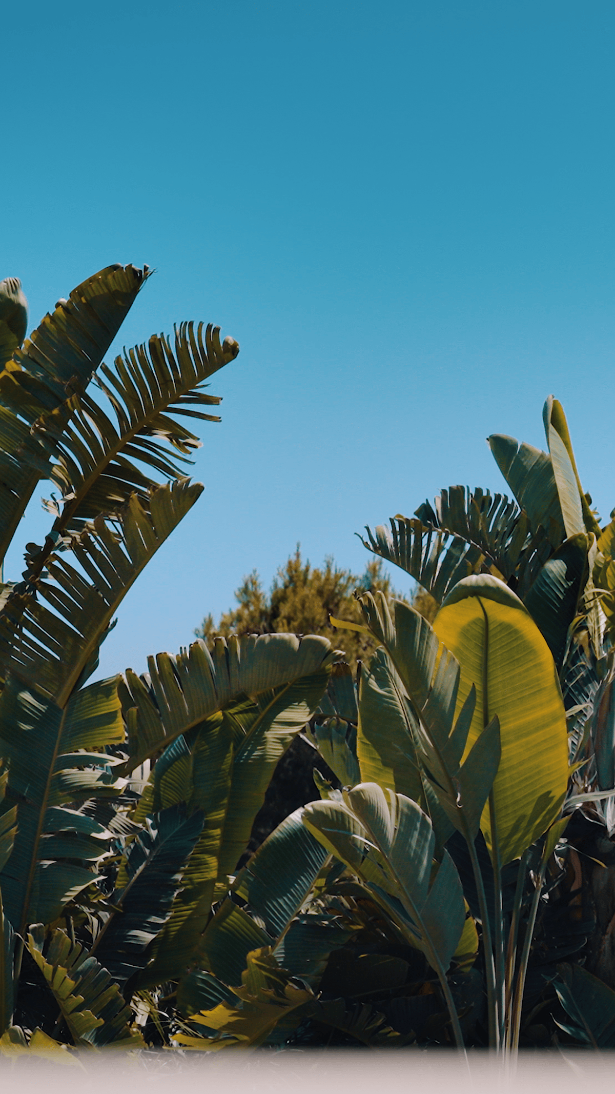 Key Steps in Selling a Home 1