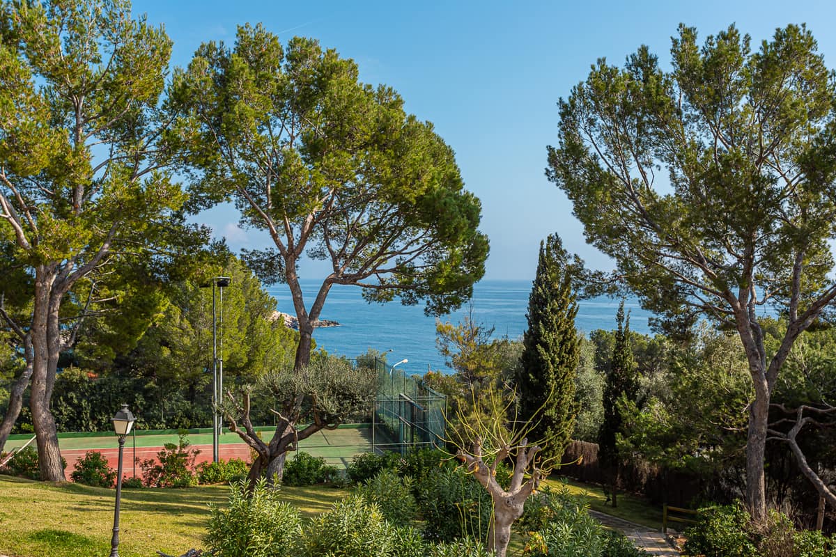 Buying a property in Mallorca