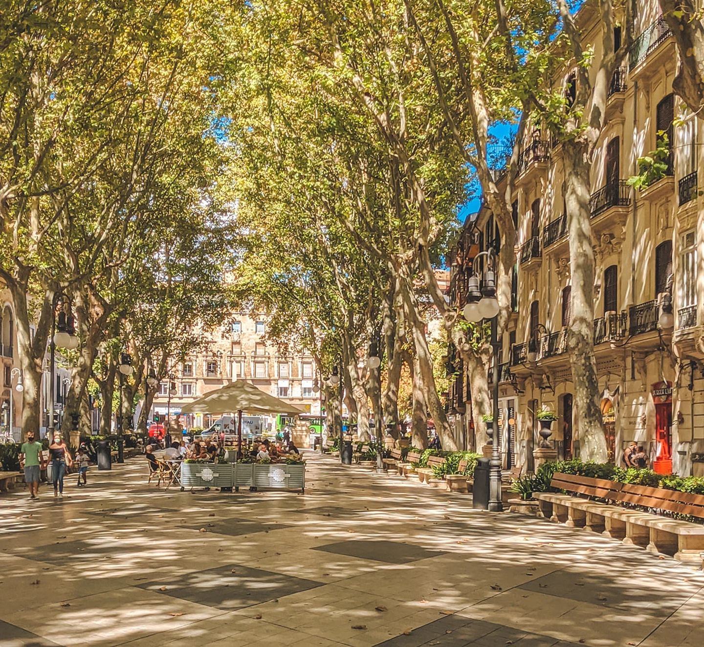 De bästa områdena att bo i nära internationella skolor på Mallorca