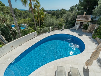 Kurvig blå pool på en stenterrass omgiven av palmer och grönska med havsutsikt i fjärran.