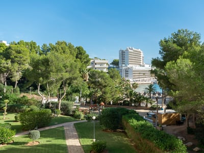 Jardín verde cuidado con caminos de piedra, pinos y un edificio alto con vistas a una bahía bajo un cielo azul despejado.