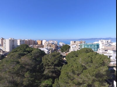 Hochwinkelansicht über üppige grüne Baumkronen auf weiße Gebäude und das blaue Meer unter klarem Himmel.