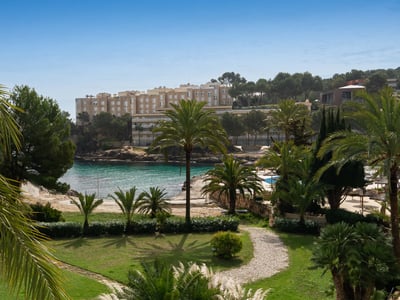 Lush garden with stone path and palm trees overlooking a turquoise sea cove and coastal buildings under a clear blue sky.