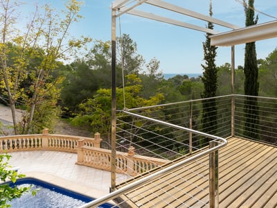 Plataforma de madera elevada con barandillas metálicas con vistas a una piscina y bosque verde bajo el cielo azul.