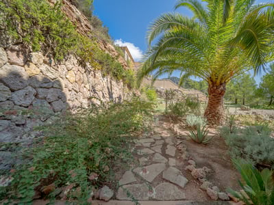 Sendero rústico de piedra en un jardín mediterráneo con una gran palmera y un muro de piedra seca.