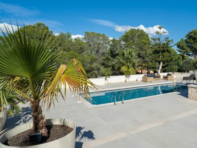 Rektangulär pool med kristallblått vatten, omgiven av grå klinker och palmer i krukor under en blå himmel.