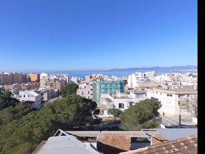 Blick aus der Höhe auf eine Küstenstadt mit weißen Gebäuden, grünen Pinien und dem blauen Meer im Hintergrund.