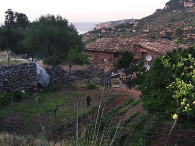 A traditional stone house with a terracotta roof surrounded by a vegetable garden and lemon trees overlooking the sea.