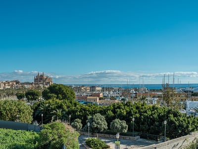 Malerischer Blick über grüne Bäume auf die Kathedrale von Palma und einen Hafen voller Segelboote unter blauem Himmel.