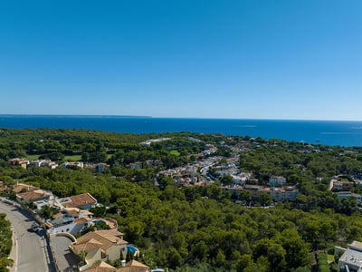 Aerial drone view of a lush green forest meeting a residential coastal town with the deep blue sea on the horizon.