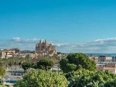 Weite Aussicht auf die Kathedrale von Palma de Mallorca, einen Yachthafen mit Booten und üppige grüne Bäume.