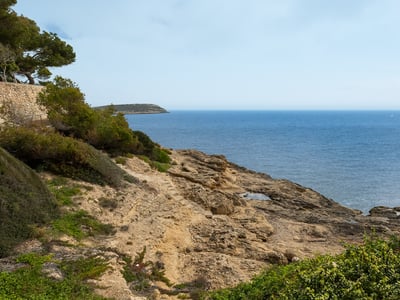 Rocky coastline meeting the blue sea with green Mediterranean shrubs in the foreground.