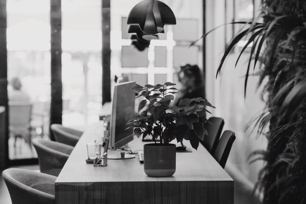 The Wealth Tax in Mallorca is Reduced in 2024