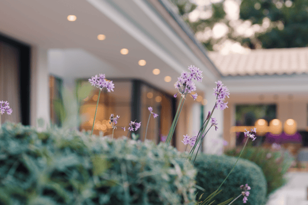 Commissions for real estate agents explained | Sandberg Estates