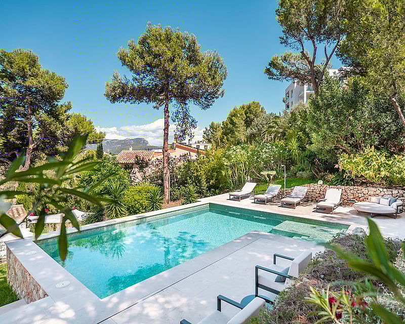Turquoise swimming pool surrounded by a light stone deck, sun loungers, and lush green pine trees under a blue sky.