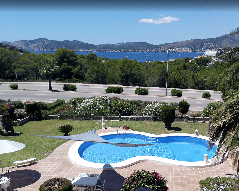 Una piscina de forma ovalada en un jardín con palmeras, con vistas a una bahía azul y montañas lejanas.