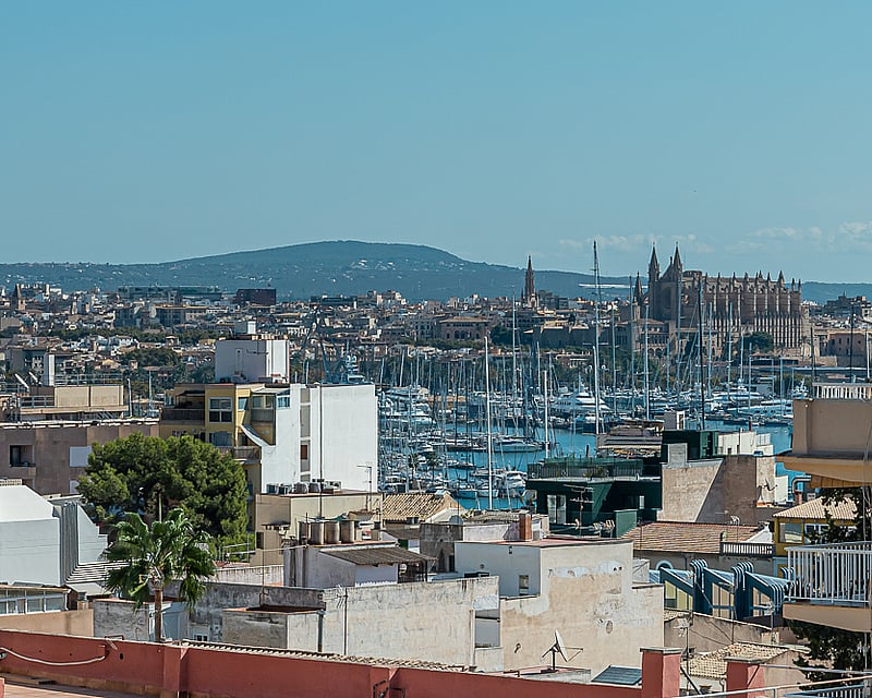 High-angle rooftop view looking towards the Palma Cathedral and yacht marina under a clear blue sky.