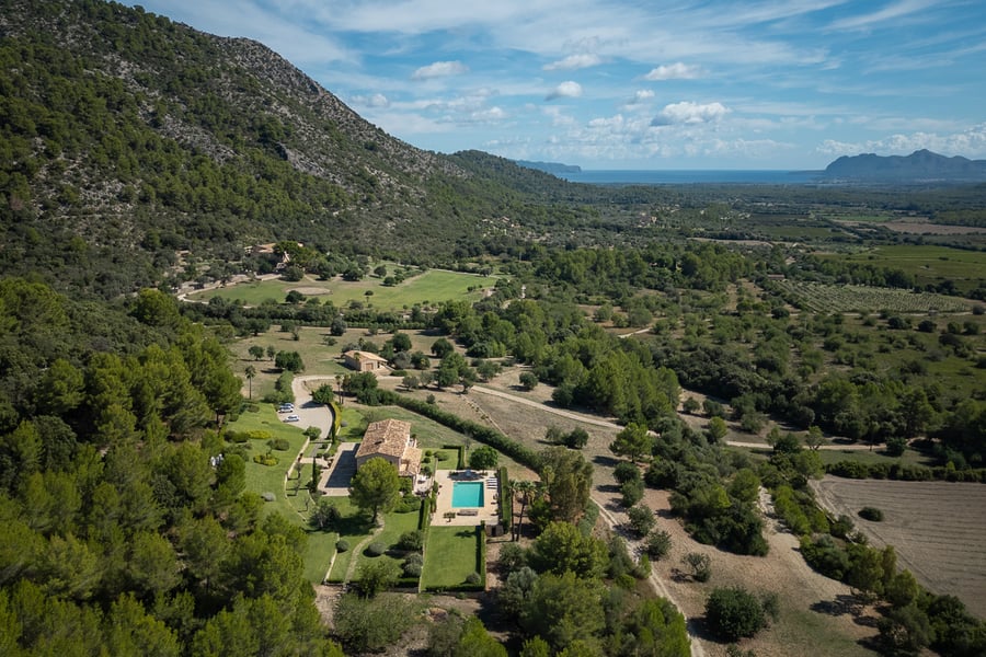 Aktuelle Markttrends: ein Überblick 1