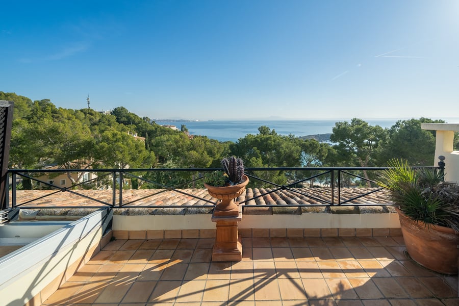 Rare Property Opportunities 2