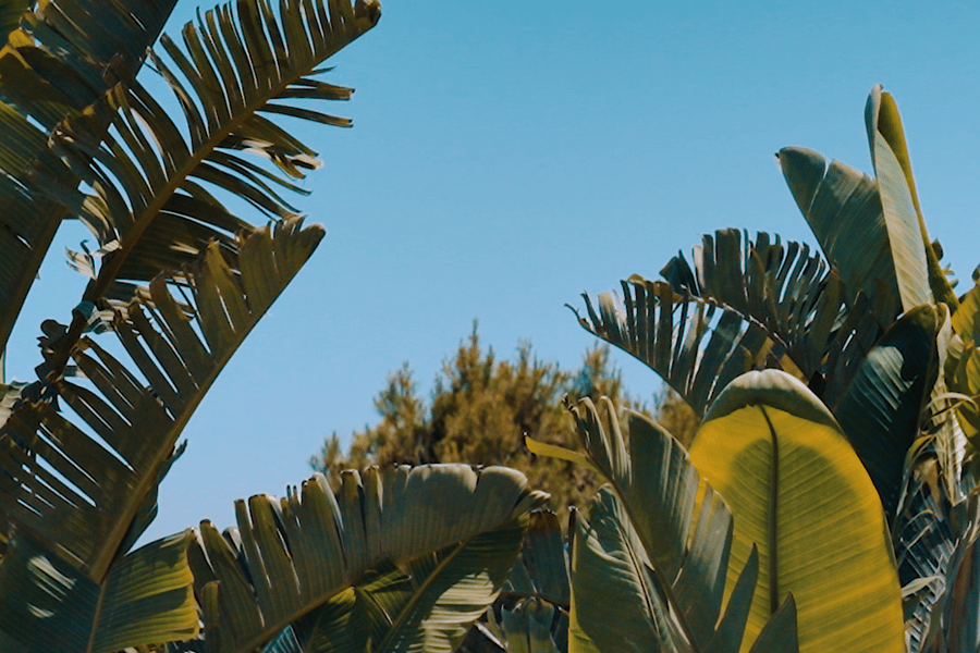 Viktiga steg vid försäljning av en bostad 1