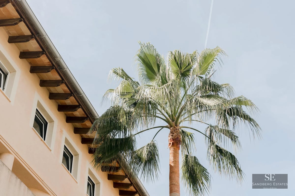 Exterior view of a modern house with pool, lush garden and minimalist architecture. Sleek and contemporary design.