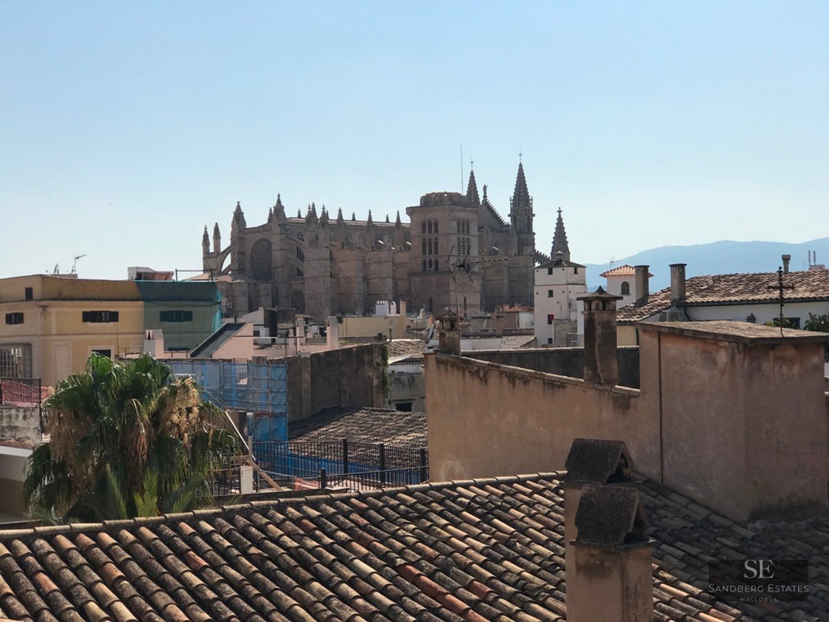 Rooftop view of the historic Palma Cathedral rising above city buildings under a clear blue sky.