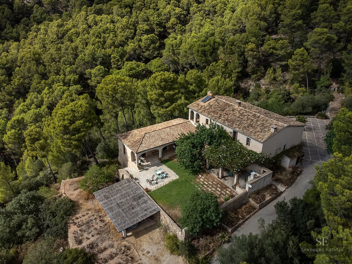 Top-down view of a stone house with tiled roofs, surrounded by a dense green pine forest.