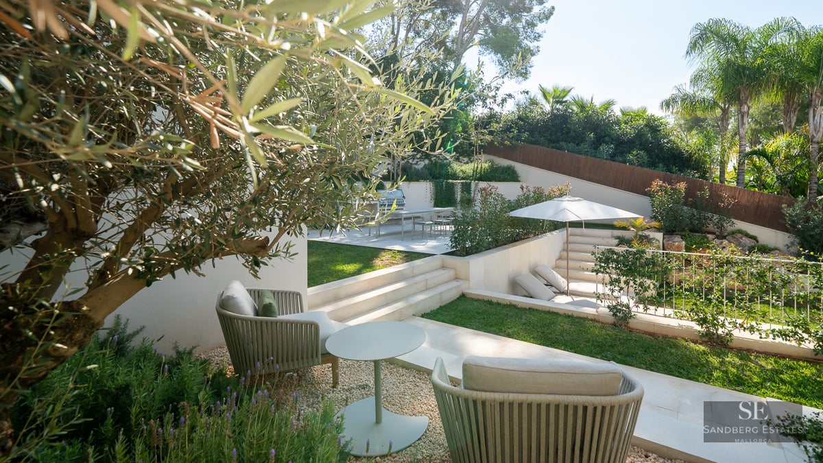 Multi-level garden featuring an olive tree, designer seating, a BBQ area, and lush lawn under bright sunlight.