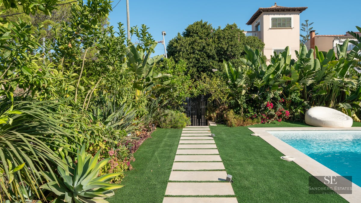 Modern swimming pool with stone path and lush tropical greenery under a clear blue sky.
