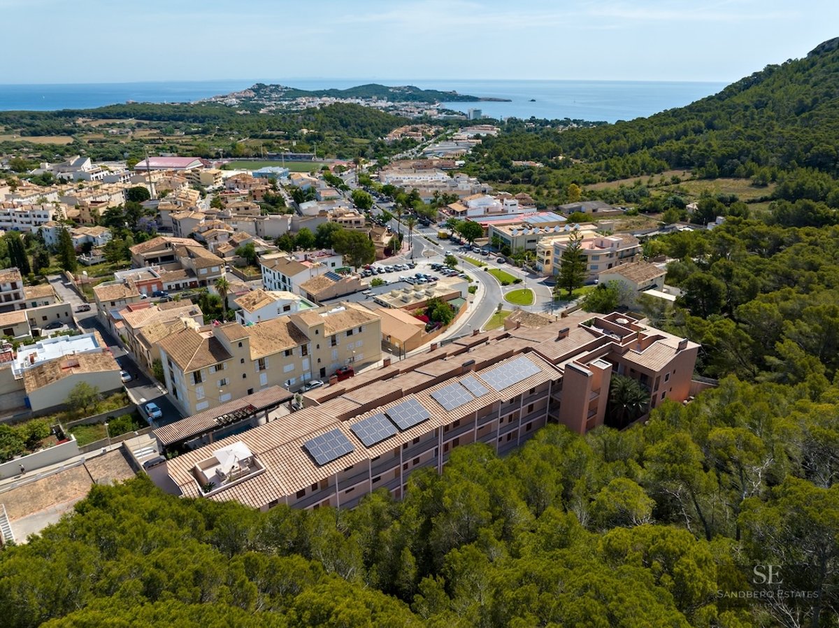 Aerial view of a Mediterranean building with solar panels next to a pine forest with sea views in the distance.
