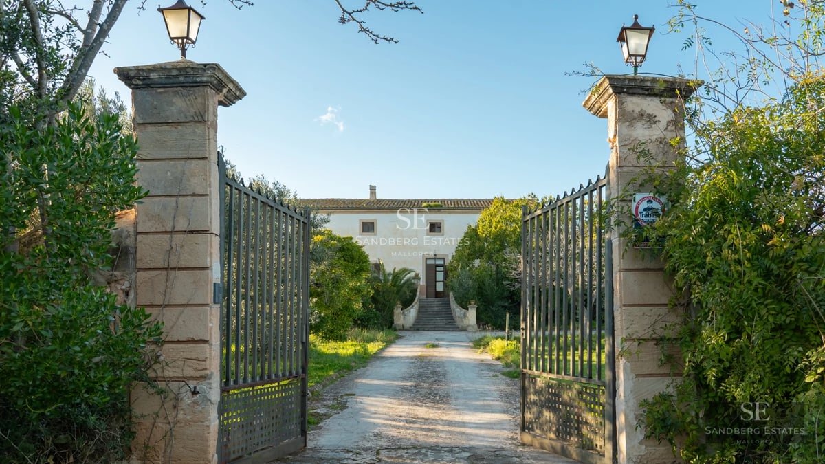 Spacious living room with panoramic windows, sea view, modern furniture and abundant natural light. Elegant and bright.