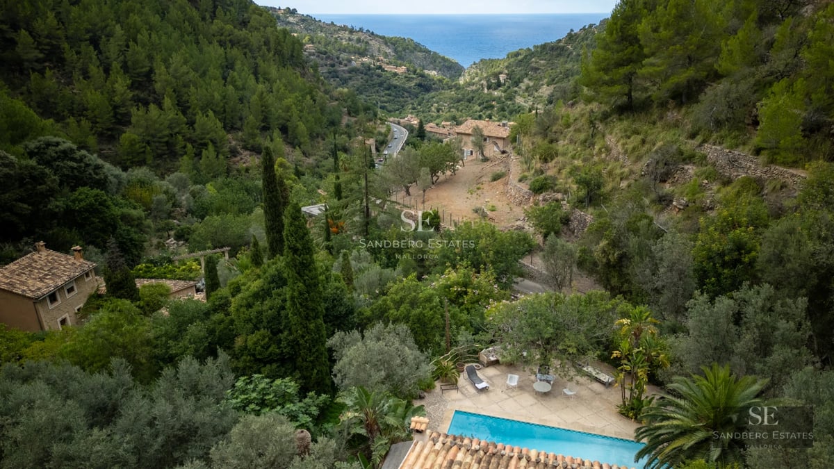 Exterior view of a modern villa with a pool and lush greenery. Contemporary architecture and landscape design.