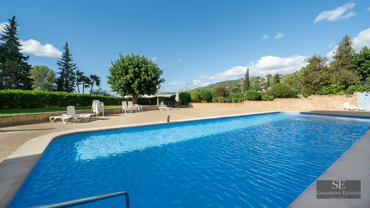 Large blue swimming pool surrounded by a stone terrace with lounge chairs and trees under a clear sky.