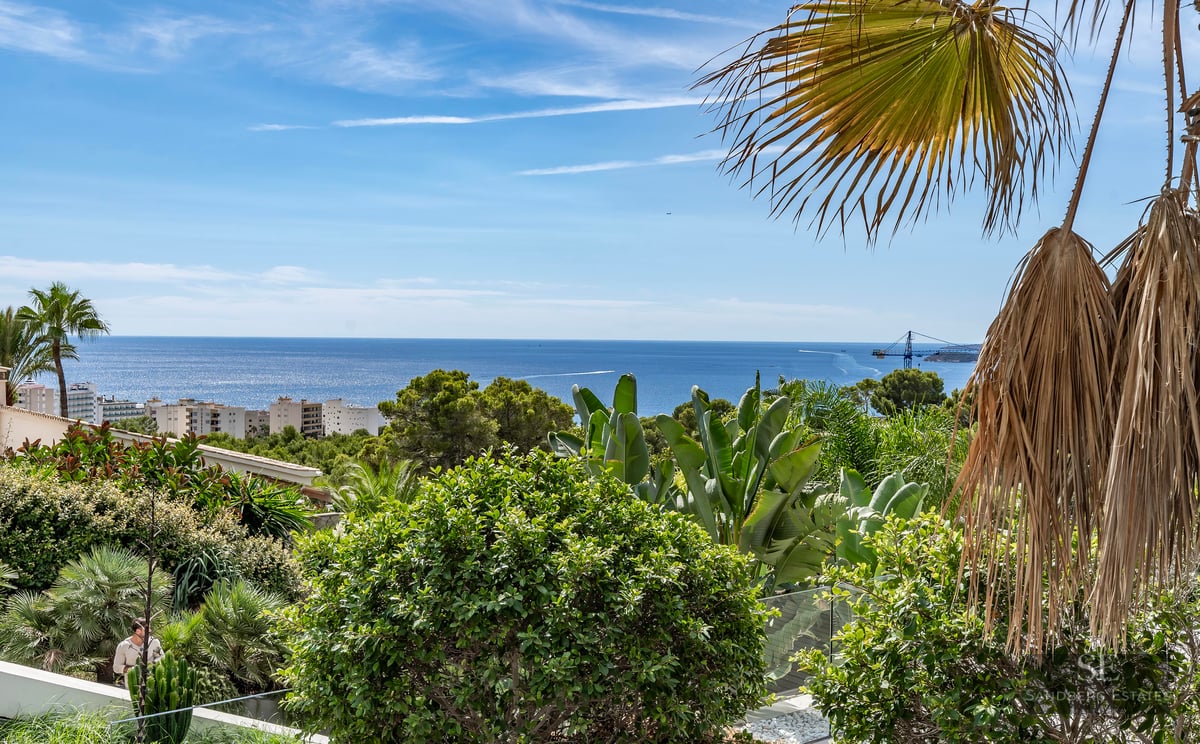 Lush tropical garden with palms and shrubs overlooking the sparkling blue sea under a clear sky.