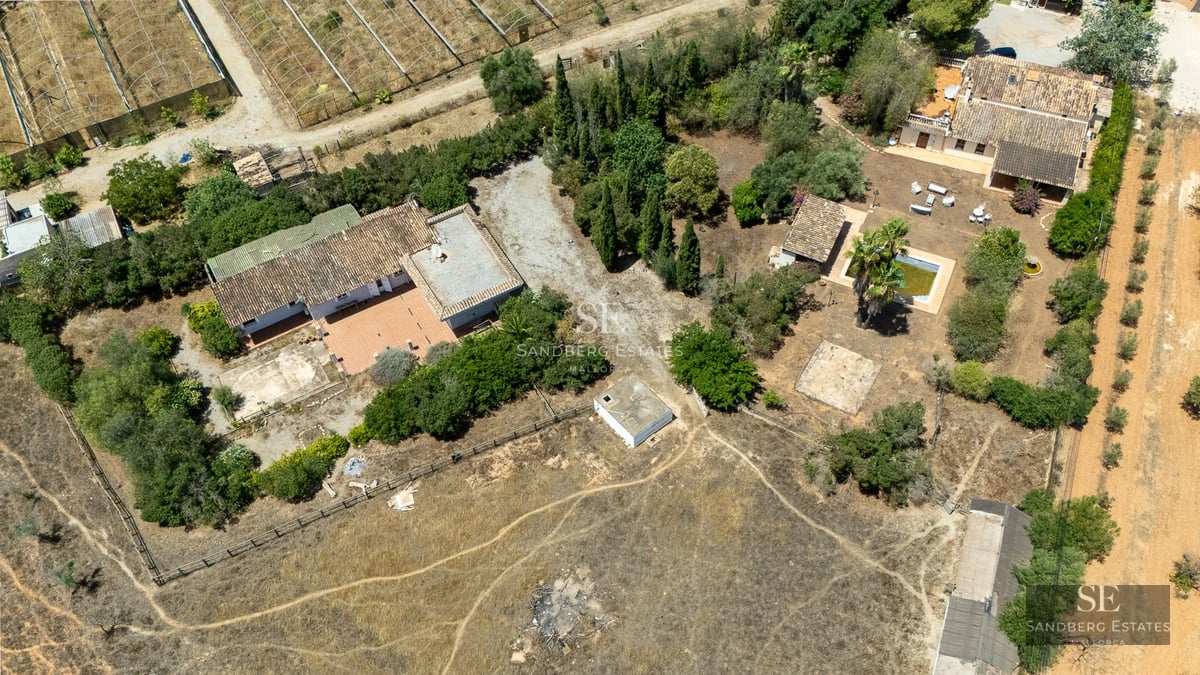 Exterior view of a modern house with a pool, large windows, wooden terrace, and landscaped gardens. Elegant and minimalist design.