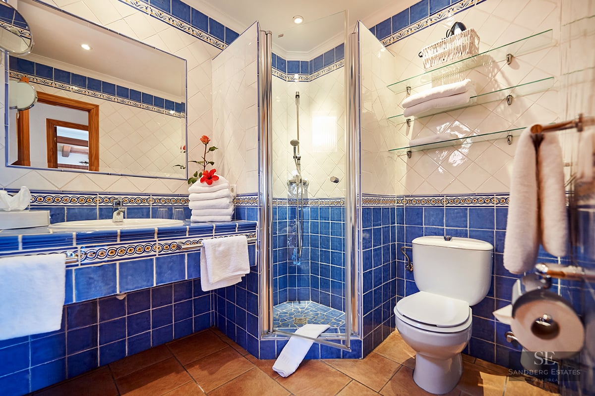 Bathroom featuring blue and white tiles, glass shower enclosure, terracotta floor, and large mirror.