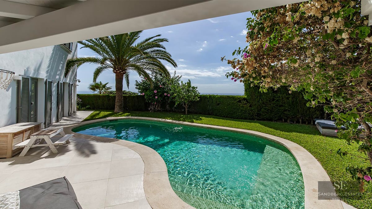 Kidney-shaped pool surrounded by green lawn, a palm tree, and sea views under a clear blue sky.