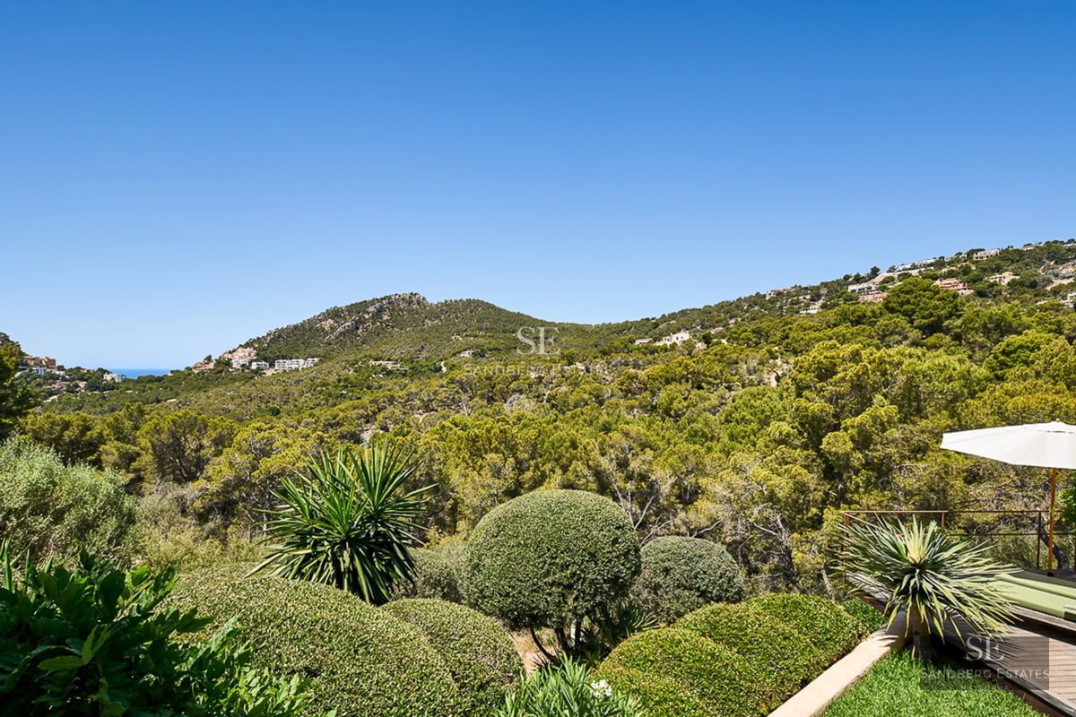 Exterior view of a modern house featuring a pool, spacious garden, and minimalist design. High-quality architectural details.