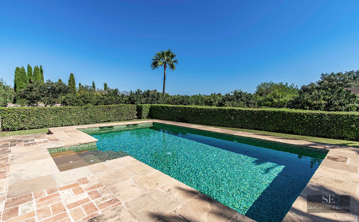 A rectangular turquoise mosaic pool surrounded by stone decking and manicured green hedges under a clear blue sky.