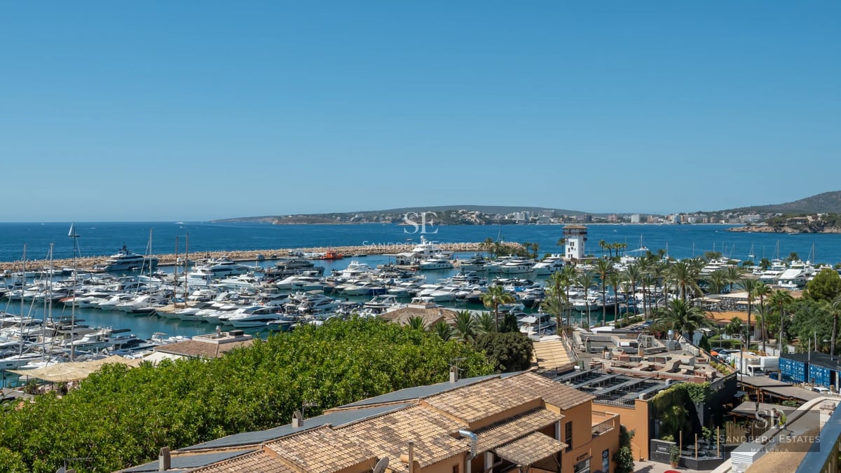Exterior of modern villa featuring reflecting pool, expansive garden, and minimalist architecture. Warm ambient lighting.