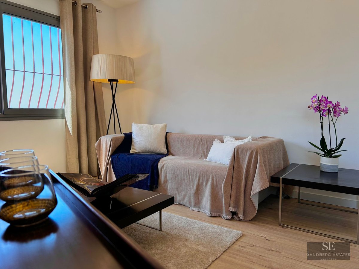 Beige sofa with blue throw, floor lamp, and purple orchid in a bright living room with wooden floors.