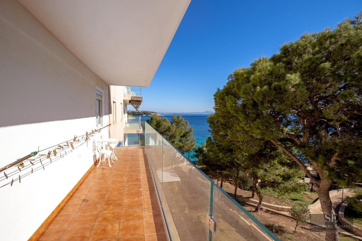 Long balcony with glass railing and terracotta tiles overlooking the blue sea and green pine trees.