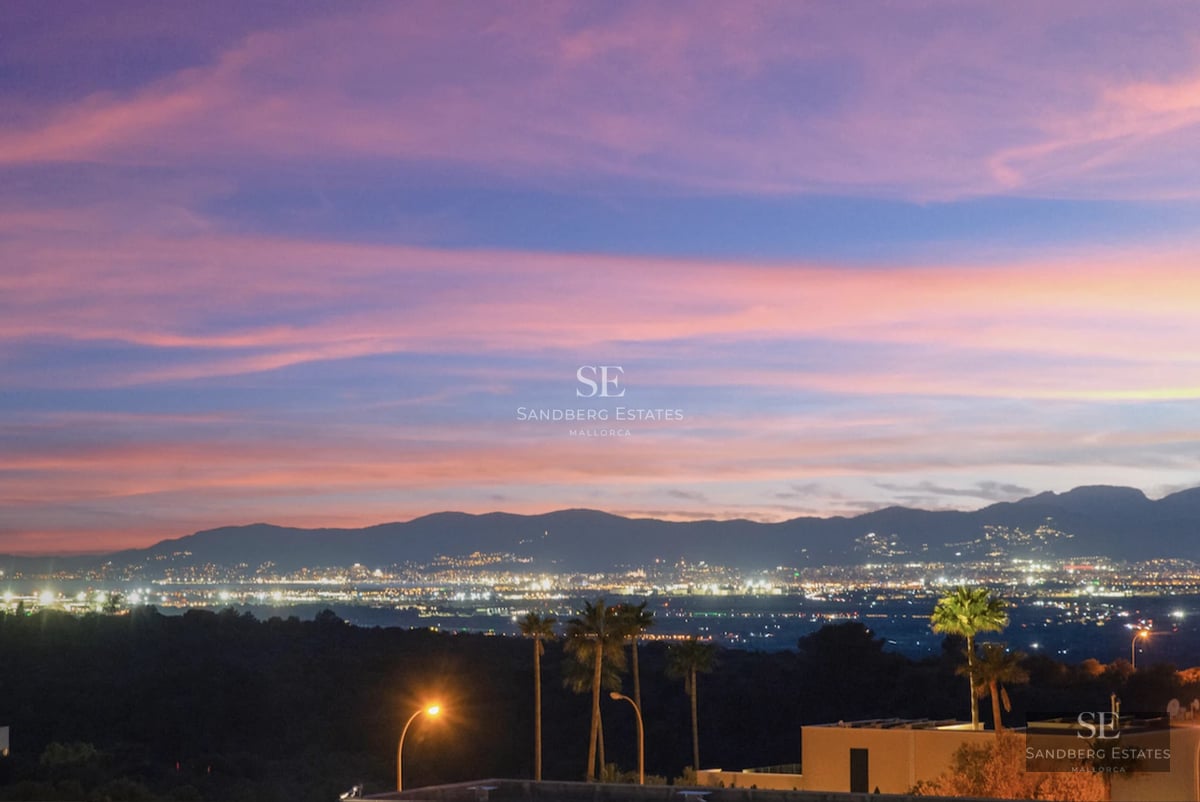 Aerial view of modern villa with infinity pool, spacious garden, terrace, and elegant, minimalist architectural design.