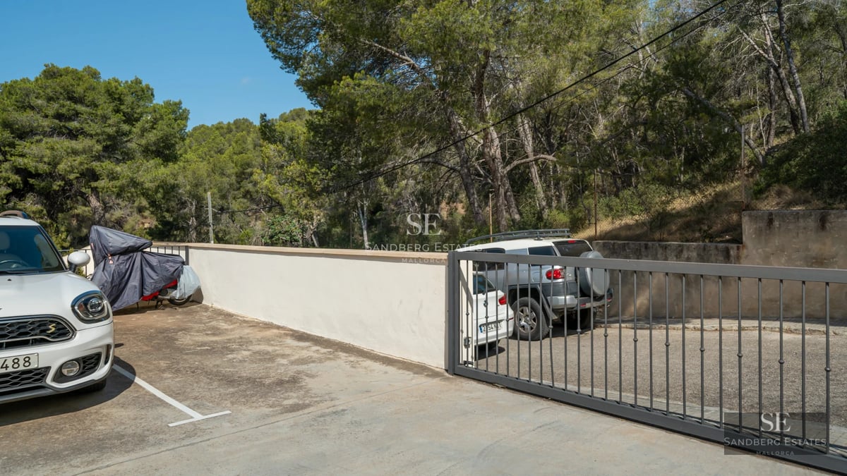 Modern facade with reflecting pool. Minimalist architecture, large windows, lush vegetation, and natural light.