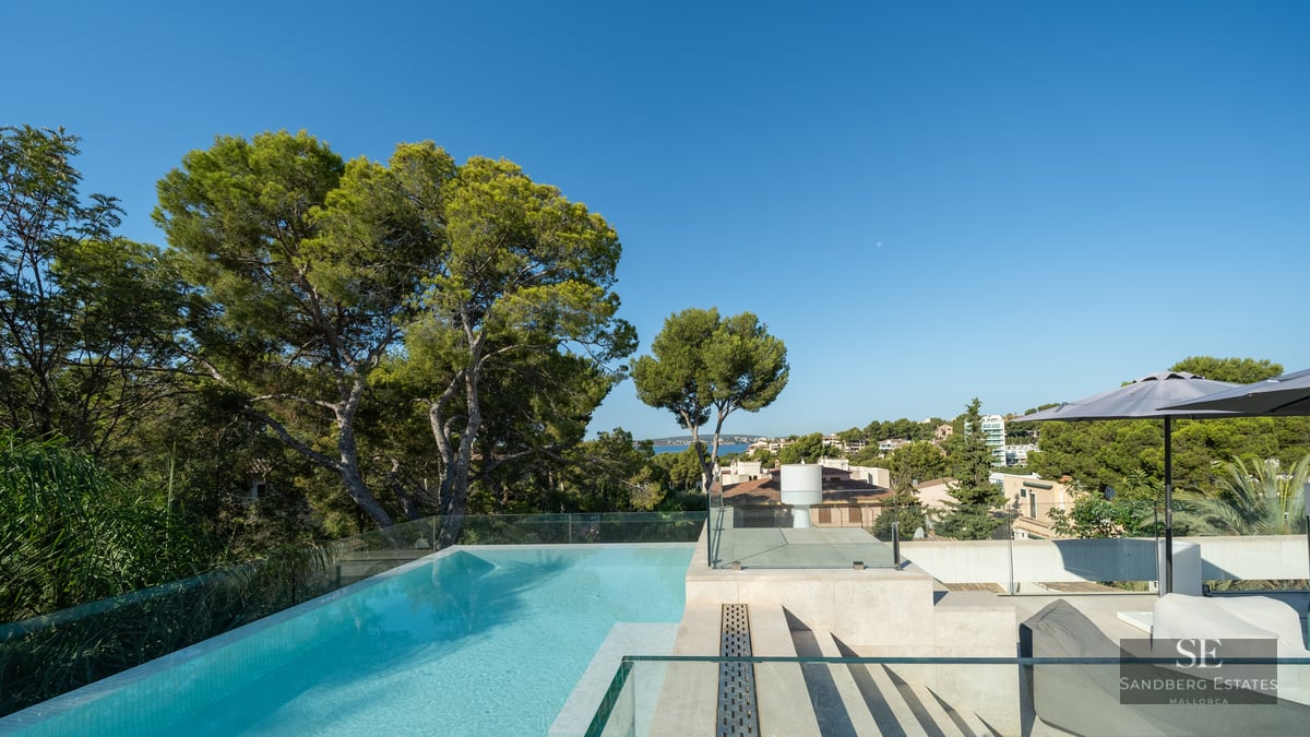 Elevated infinity pool with glass railings overlooking lush green pine trees and the distant sea under a clear blue sky.