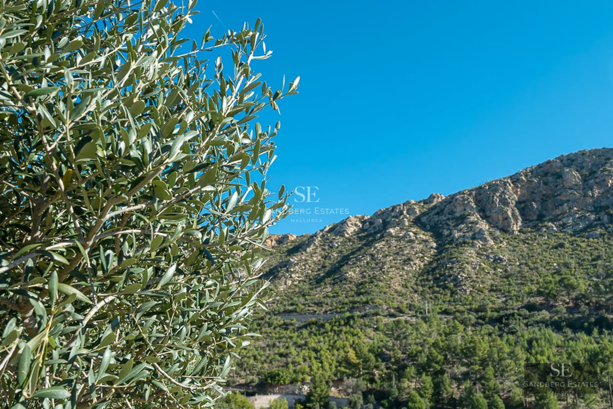 Panoramic view of the penthouse with infinity pool, sun terrace and modern furniture. Spectacular views of the ocean and blue sky.
