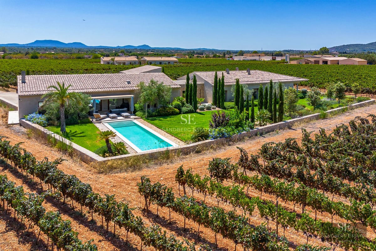 Panoramic view of a modern apartment with balcony, infinity pool, and stunning sea views. Minimalist and elegant design.