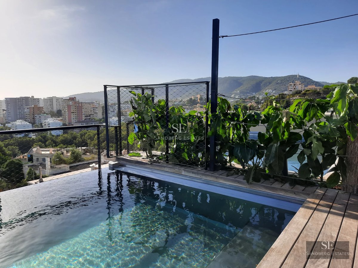 Exterior view of a modern house with a pool, large windows, and lush garden. Minimalist and elegant design with high-quality finishes.