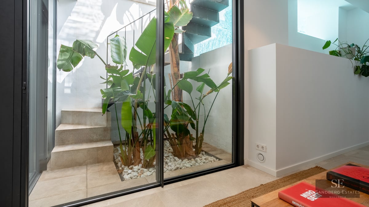 View through a glass door of an interior courtyard with concrete stairs and tropical plants in white pebbles.